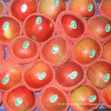 Manzana roja fresca de la gala de China